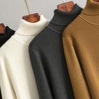 Alina | Turtleneck Dress