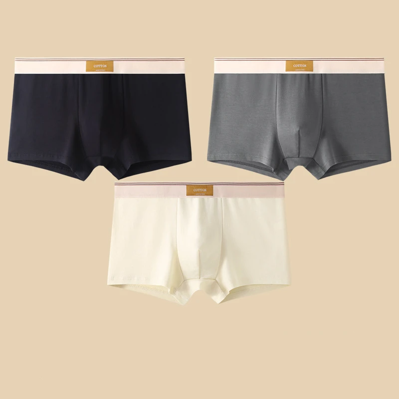 Cora Boxer Briefs | Ultra-Soft Cotton, Sweat-Wicking, Mid-Rise Fit 10