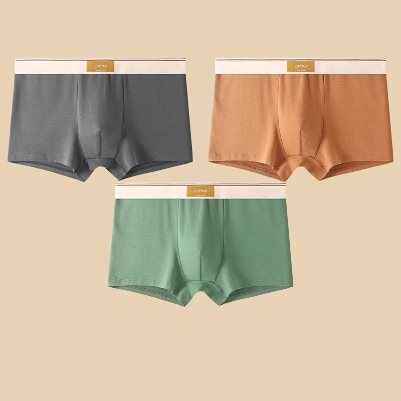Cora Boxer Briefs | Ultra-Soft Cotton, Sweat-Wicking, Mid-Rise Fit 11
