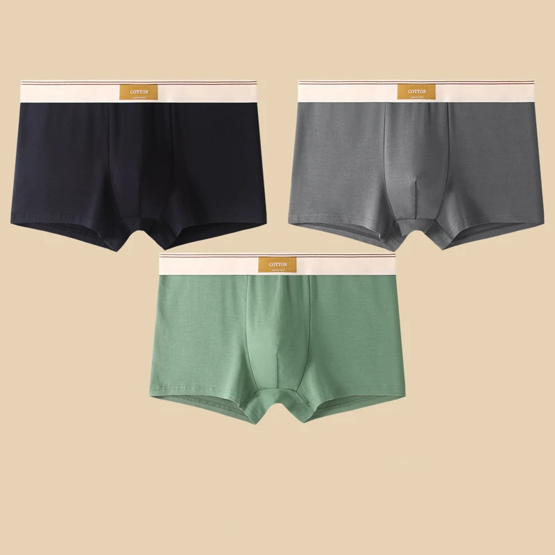 Cora Boxer Briefs | Ultra-Soft Cotton, Sweat-Wicking, Mid-Rise Fit 8