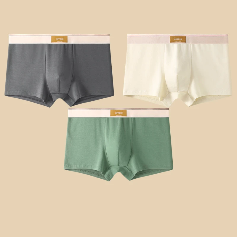 Cora Boxer Briefs | Ultra-Soft Cotton, Sweat-Wicking, Mid-Rise Fit 9