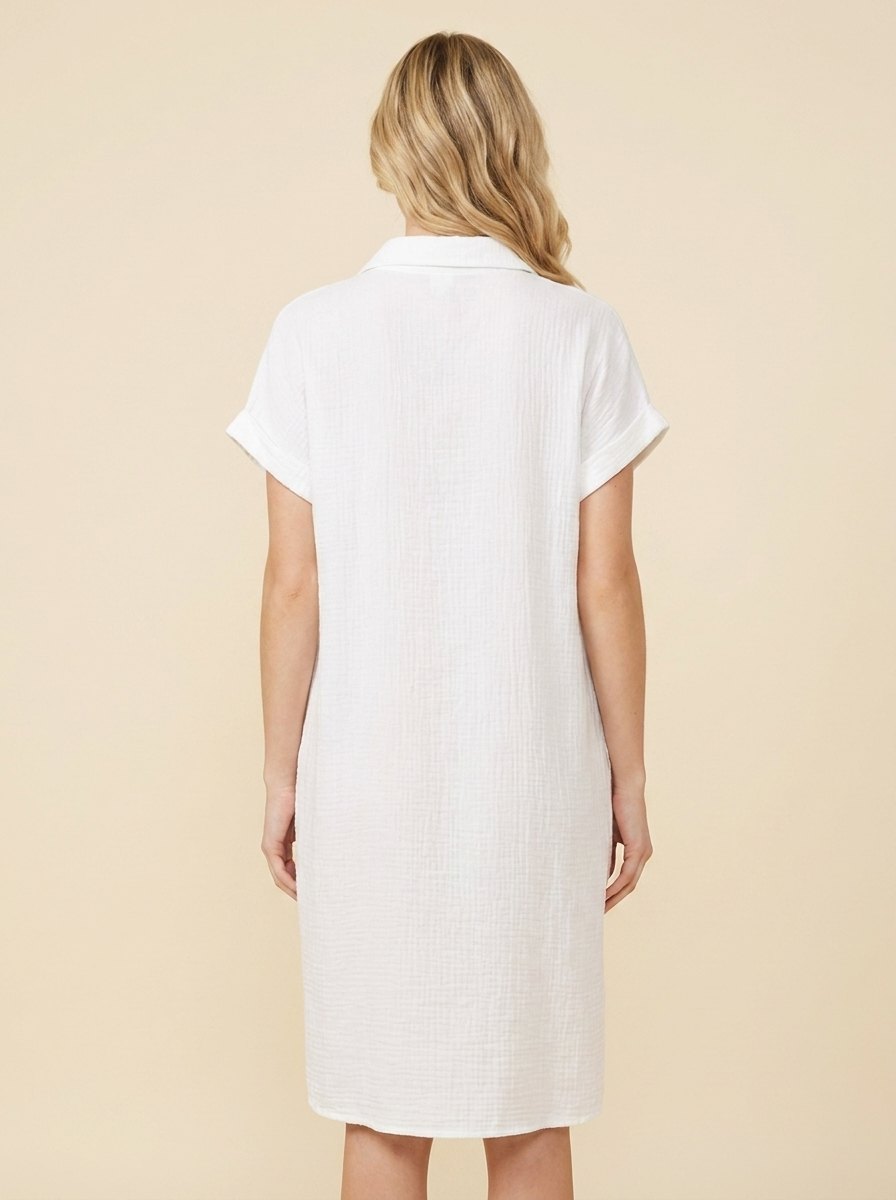 Elodie shirt dress back view
