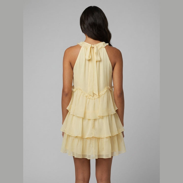 Lisette layered chiffon mini dress back view