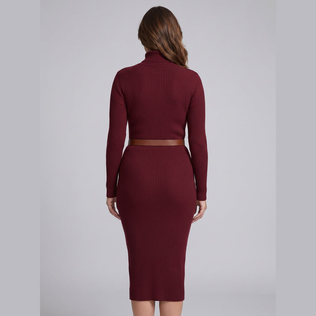 Luna burgundy turtleneck dress back view