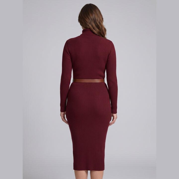Luna burgundy turtleneck dress back view